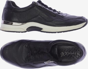 CAPRICE Sneakers & Trainers in 40 in Black: front