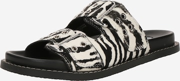 STEVE MADDEN Pistokkaat 'Agent-L' värissä musta: etupuoli