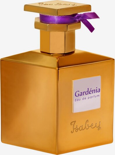 Isabey Paris Fragrance in Transparent, Item view
