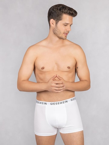 GIESSWEIN Boxer shorts in White: front
