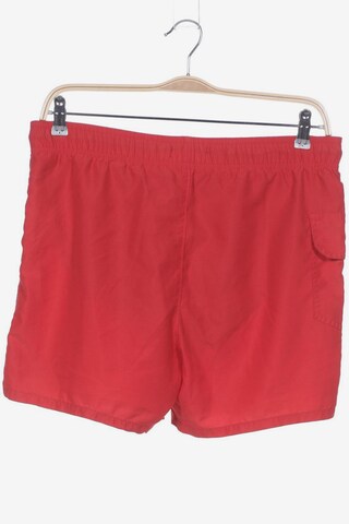 HOLLISTER Shorts in 34 in Red
