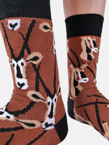 Chaussettes ' GRUMBLE IN THE JUNGLE ' UNABUX en marron