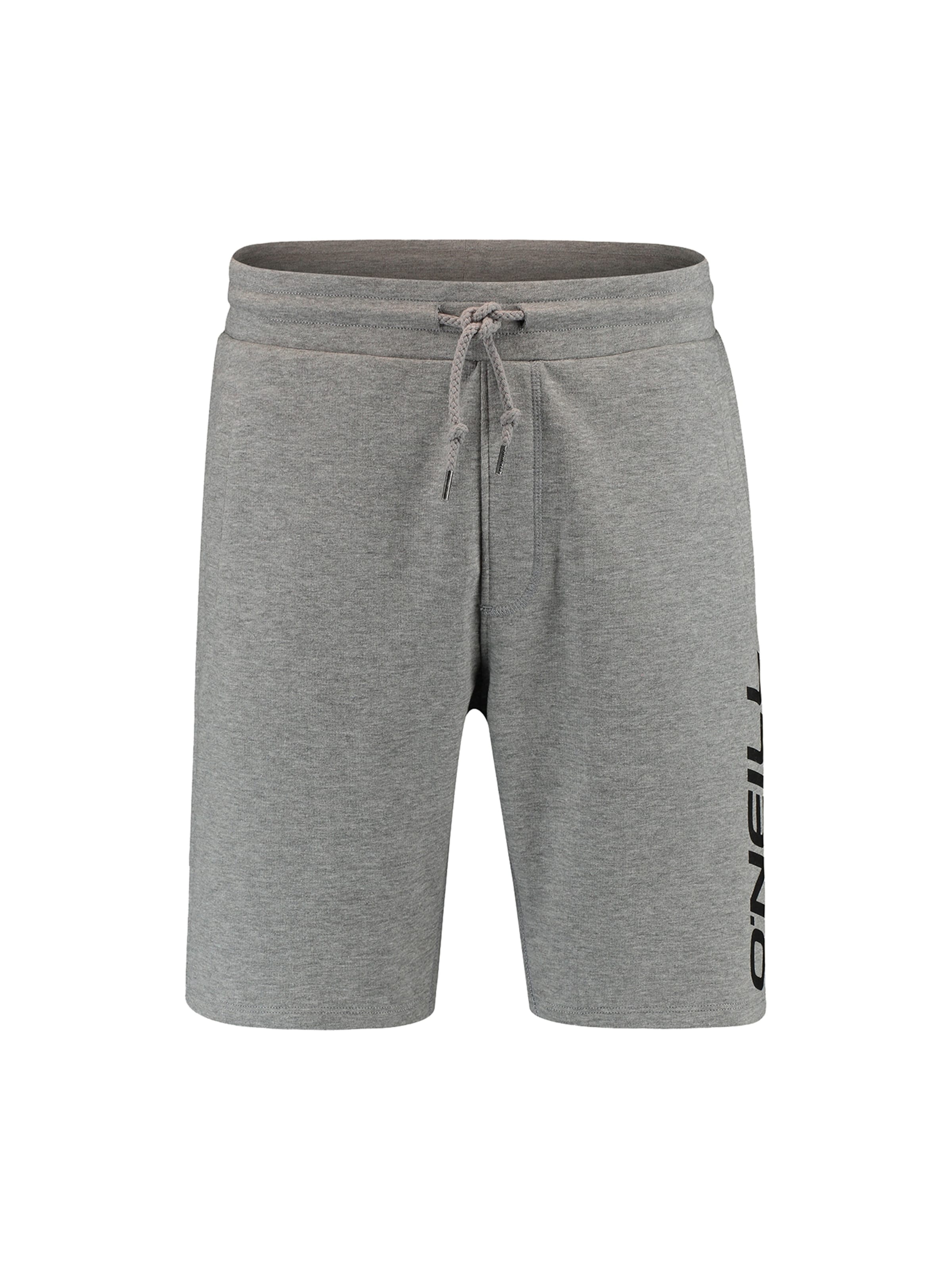 O'NEILL Regular Trousers in Grey: front