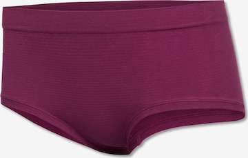 SCHIESSER Boyshorts in Purple: front