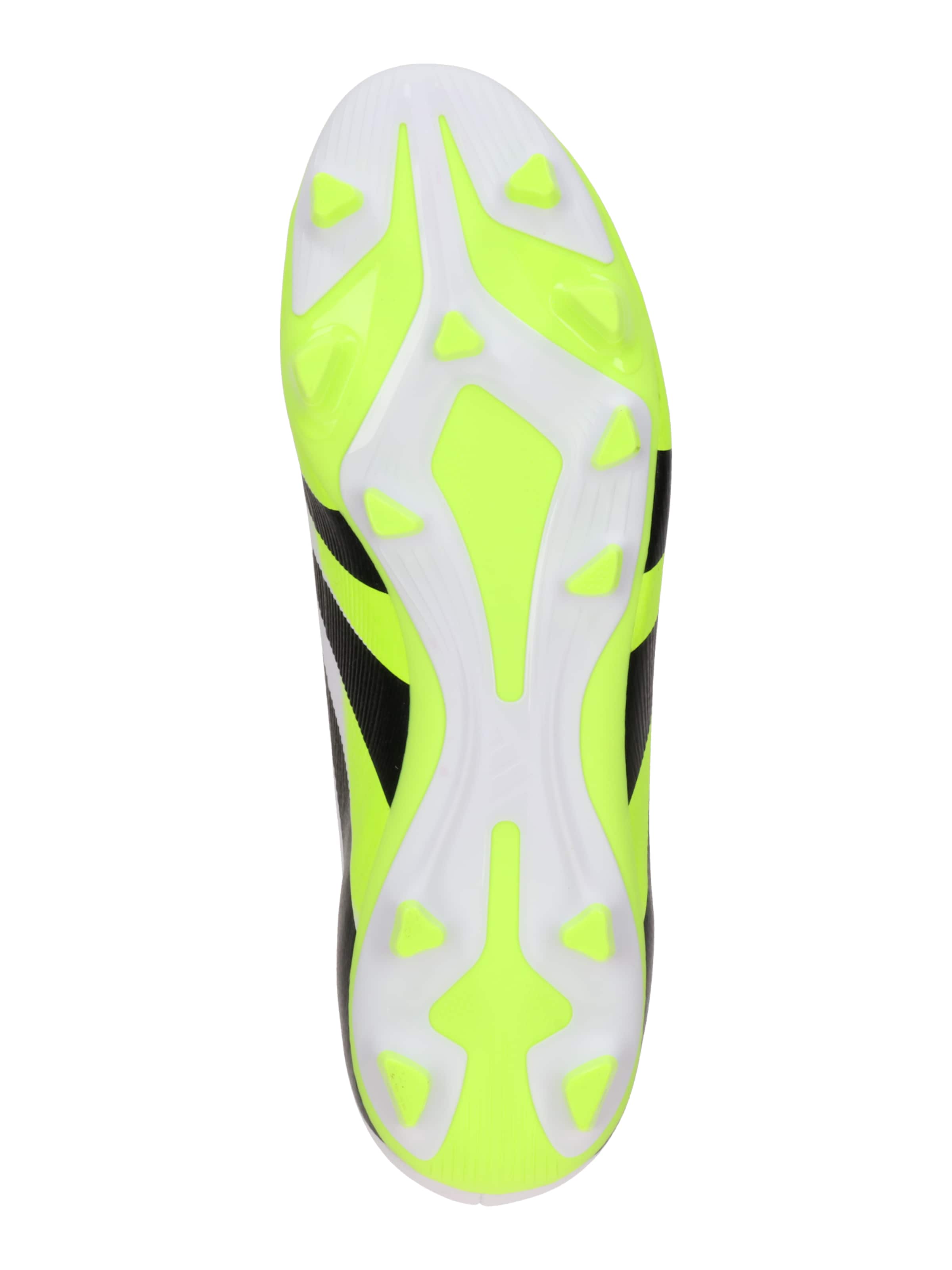 ADIDAS PERFORMANCEKopačke 'Predator Club' - bijela boja