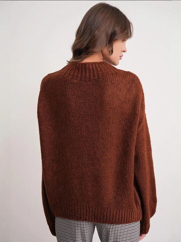 Pullover 'Pullover' di MixRay in marrone