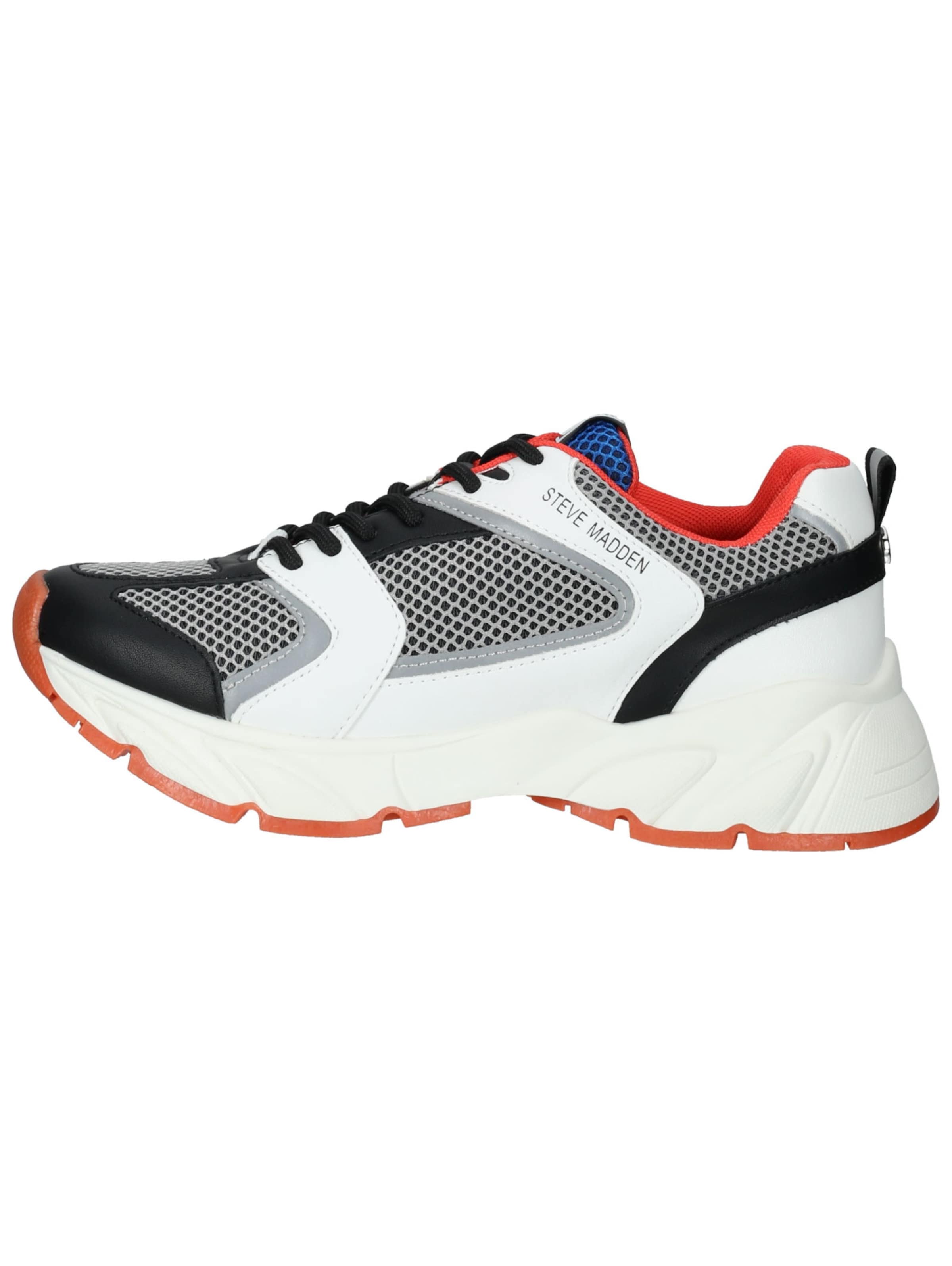 STEVE MADDEN Sneakers in Mixed colors