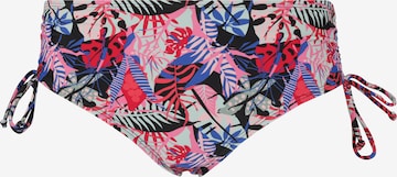 Cruz Bikinihose 'Celinn' in Schwarz: Vorderseite