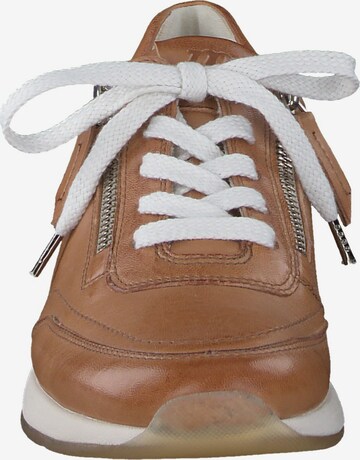 Paul Green Sneakers in Brown