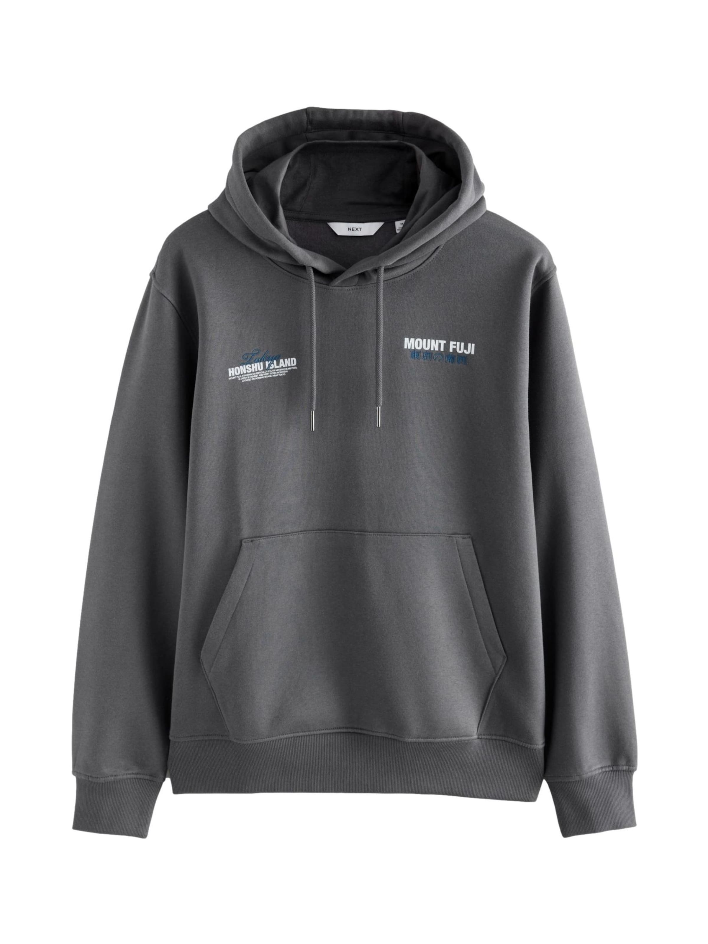 Next Sweatshirt in Grey: front