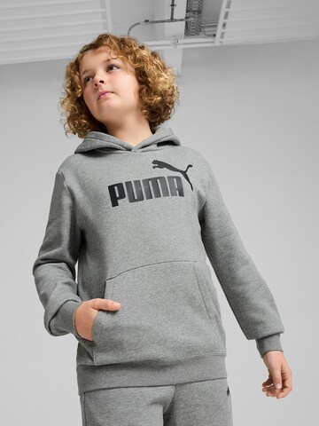 Sweat 'Ess No. 1' PUMA en gris : devant