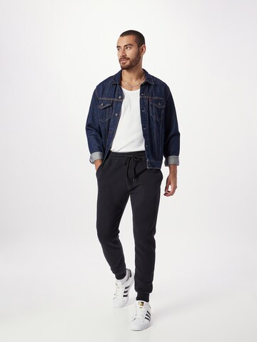 HOLLISTER Tapered Hose in Grau