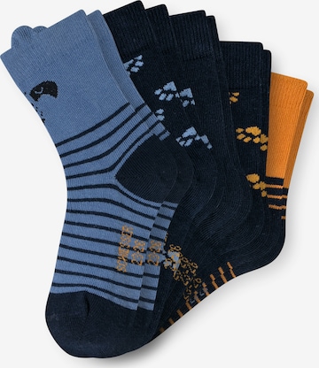 SCHIESSER Socks 'Badger' in Blue: front