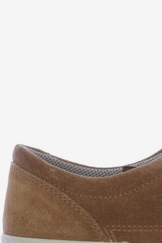 Legero Sneakers & Trainers in 38,5 in Brown