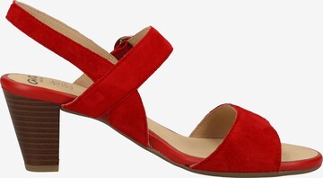 Sandalo con cinturino di ARA in rosso