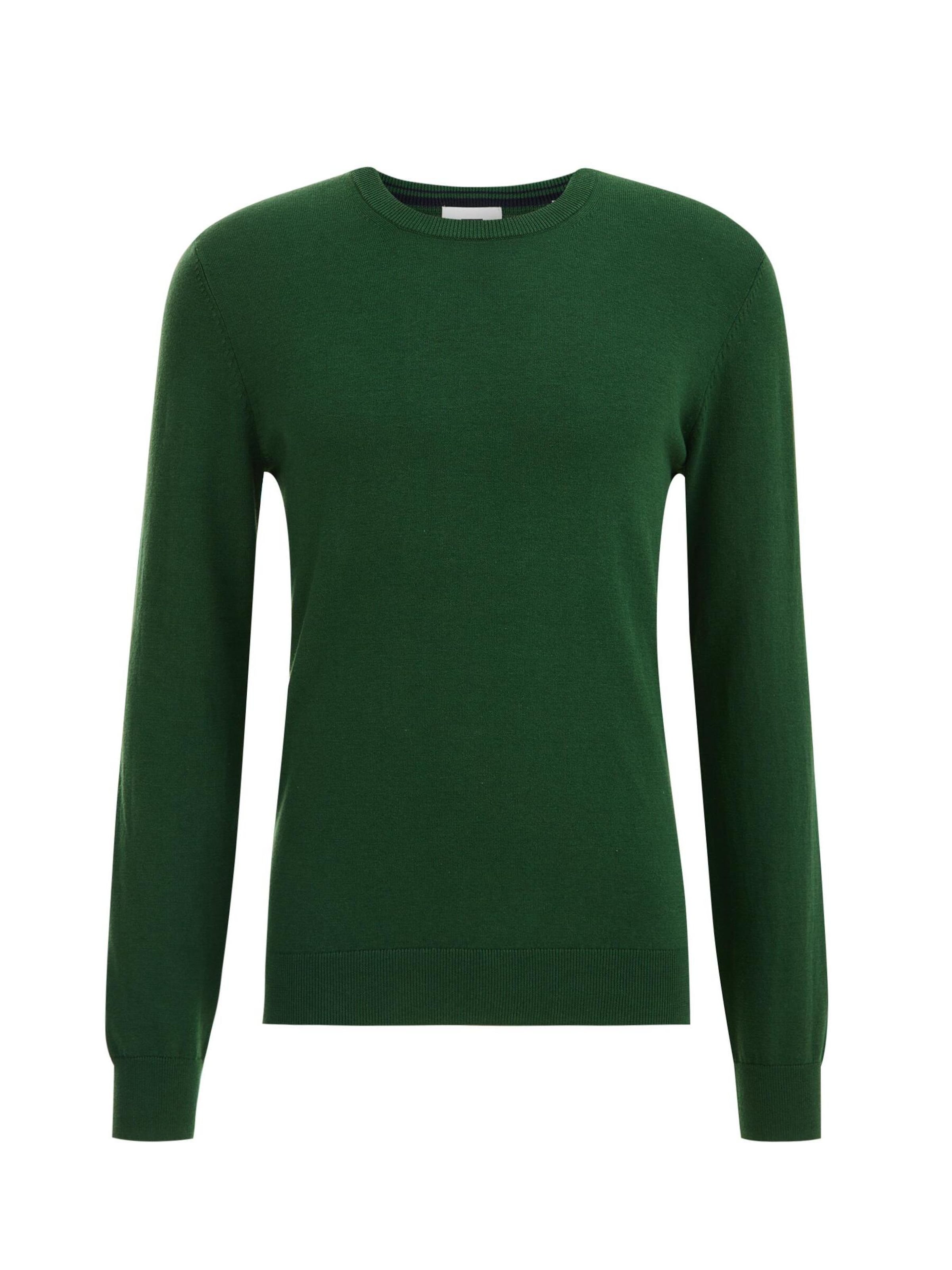 žalia WE Fashion Megztinis: priekis