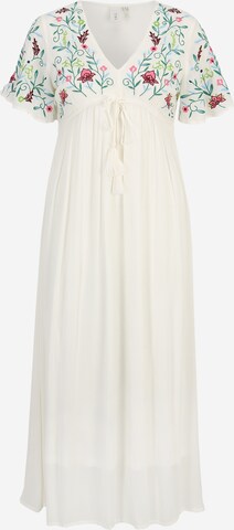 Y.A.S Petite Dress 'CHELLA' in White: front