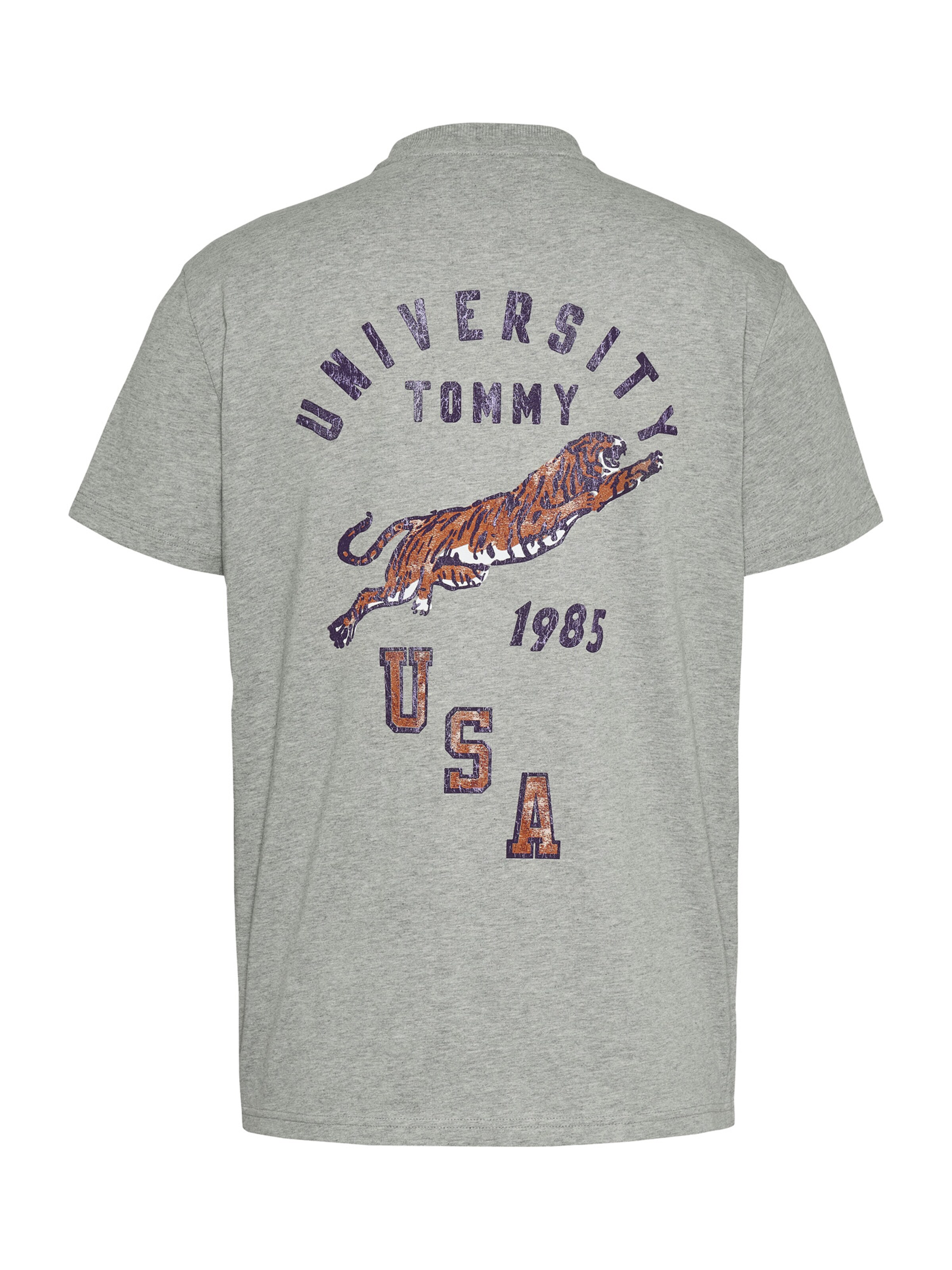 Maglietta di Tommy Jeans in grigio: dietro