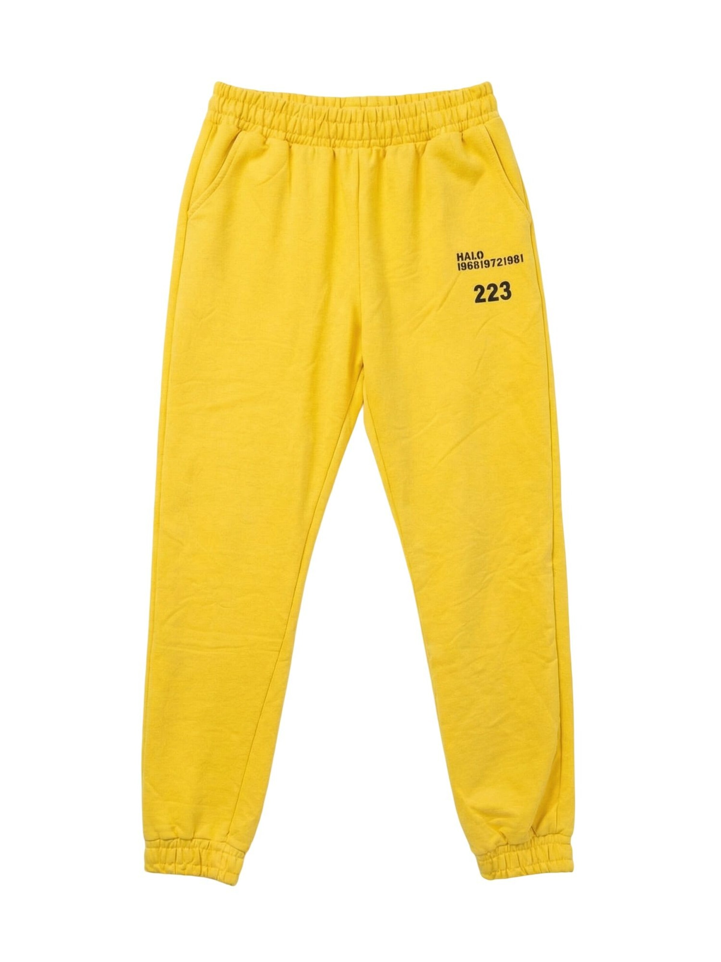 Pantaloni sportivi 'Aktive Unterteile' di My fashion in giallo: frontale