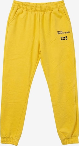 Pantaloni sportivi 'Aktive Unterteile' di My fashion in giallo: frontale
