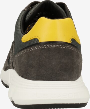 Pius Gabor Sneakers in Grey