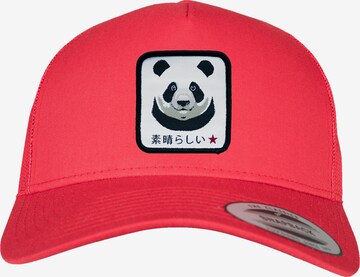 F4NT4STIC Cap 'Panda' in Red: front