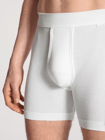 CALIDA Boxershorts 'Cotton 1:1' in Wit