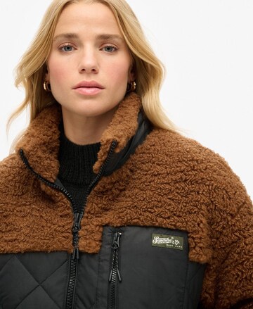 Superdry Winterjas in Bruin