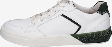JOSEF SEIBEL Lace-Up Shoes 'FRED' in White: front