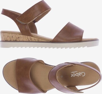 GABOR Sandals & High-Heeled Sandals in 41 in Brown: front