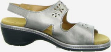 Longo Sandals in Grey