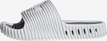 Mule 'Adilette 25' ADIDAS ORIGINALS en blanc : devant