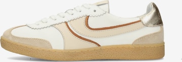 Haboob Platform trainers 'Polaro' in Beige: front