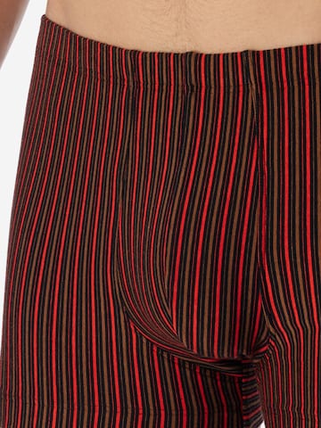 SCHIESSER Boxershorts '95/5 Essentials - Cotton' in Gemengde kleuren