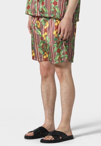 Regular Pantalon 'Fruits Cuban' Pas De Monaco en marron