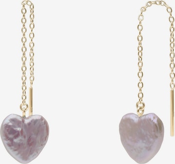 Lucardi Oorbellen in Goud: voorkant