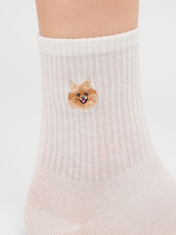 CALZEDONIA Socks in Beige