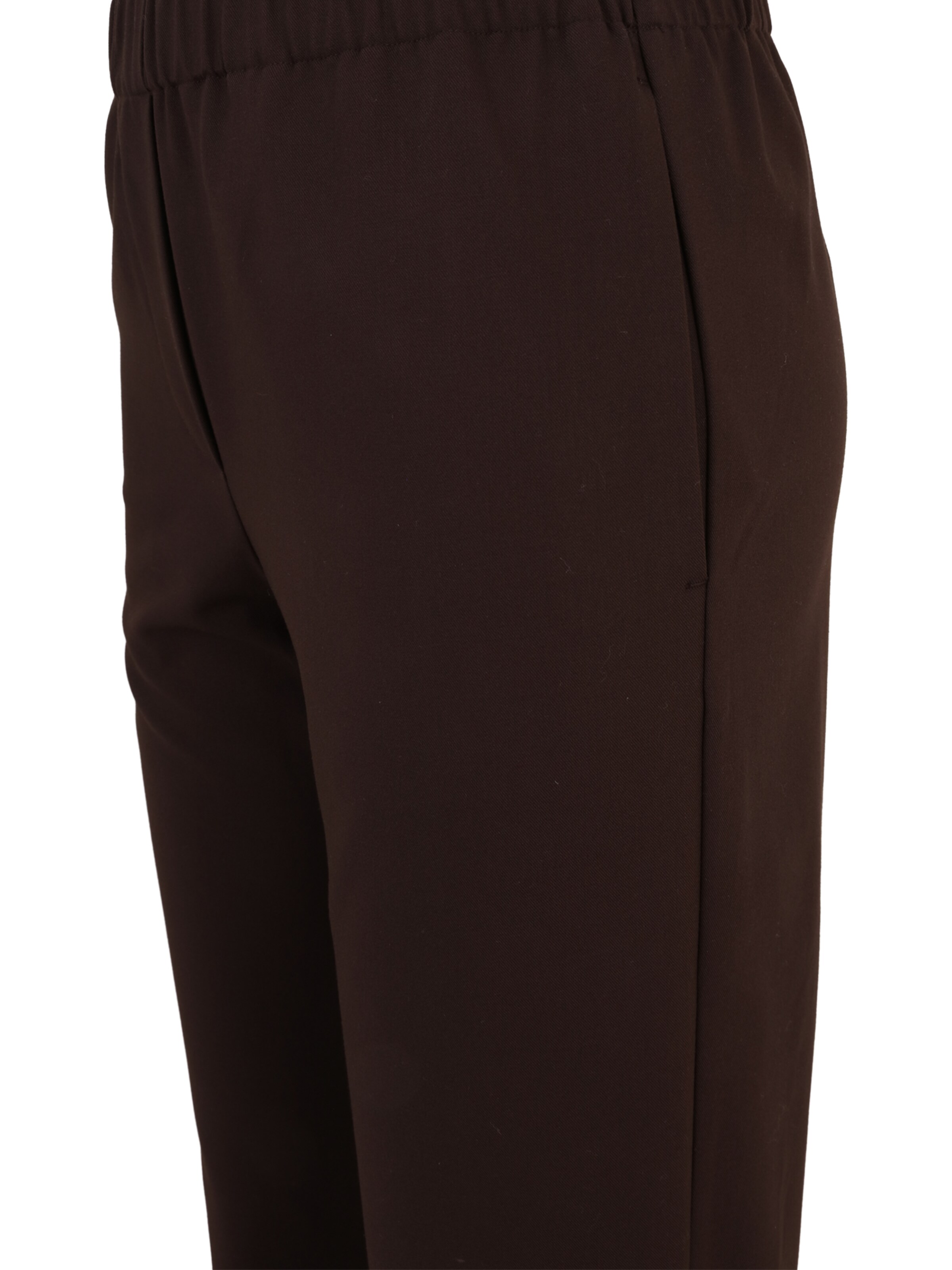 regular Pantaloni 'HOYS' di Samsøe Samsøe in marrone