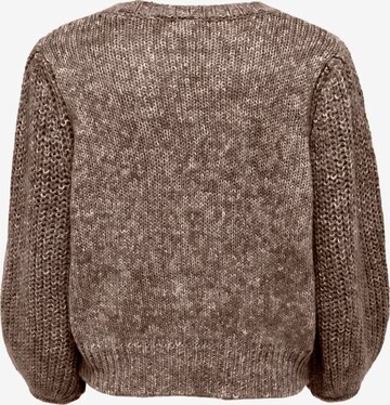 ONLY Sweater 'Henni' in Brown