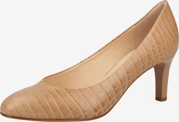 Högl Pumps in Beige: predná strana