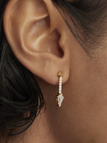 P D PAOLA Earrings in Gold