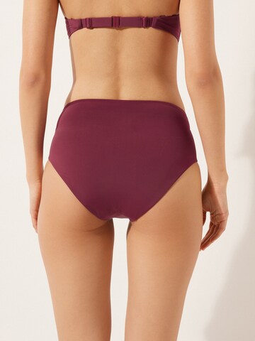 CALZEDONIA Bikinihose 'Indonesia' in Rot