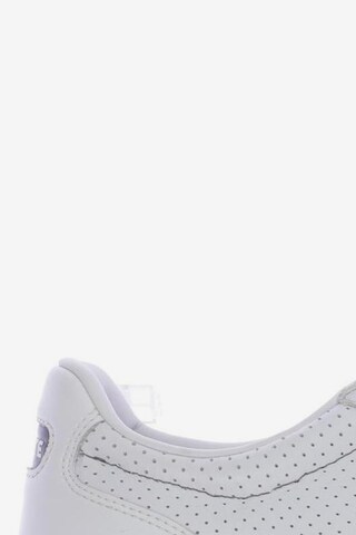 LACOSTE Sneakers & Trainers in 42,5 in White