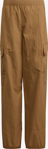 ADIDAS TERREX - regular Pantalón de montaña 'Adidas x Minecraft' en marrón: frente