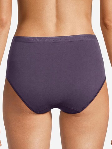 SPEIDEL Slip 'Everyday' in Purple