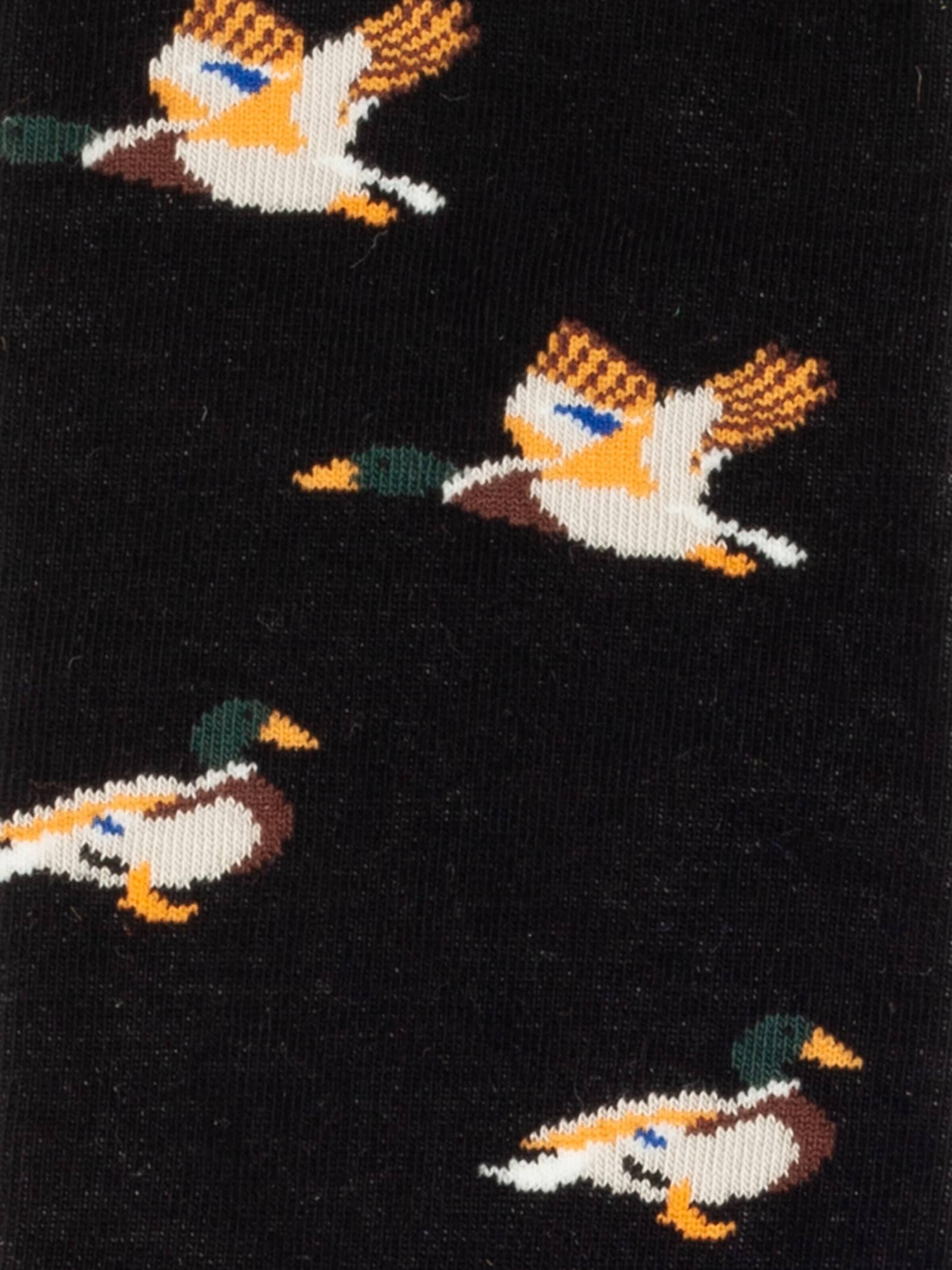 DillySocks Sokken 'Geschenkbox - Flutter into Spring (3er Box)' in Gemengde kleuren