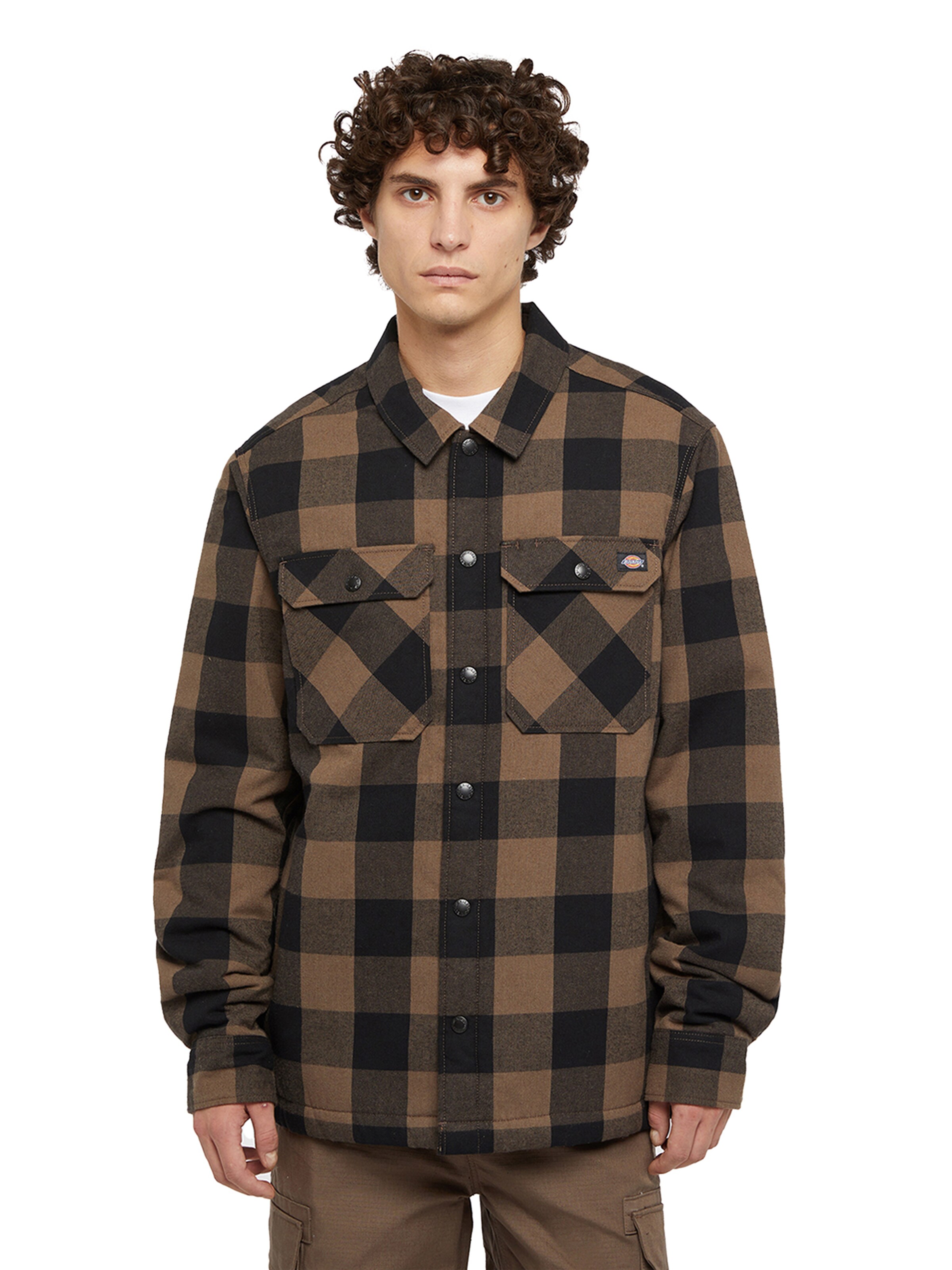 Regular fit Giacca di mezza stagione 'LINED SACRAMENTO' di DICKIES in nero: frontale