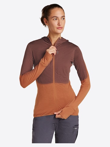 ICEBREAKER Tussenjas 'W Mer 200 Realfleece Descender LS Zip H' in Groen