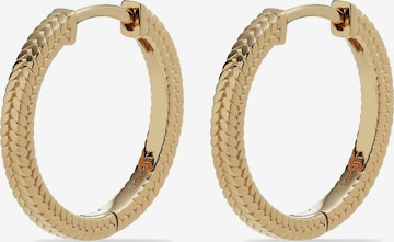 ESPRIT Ohrringe in Gold: Vorderseite