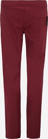 ADIDAS TERREX Regular Outdoor Pants 'Multi ' in Red